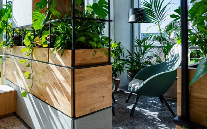 biofilia w przestrzeni biurowej