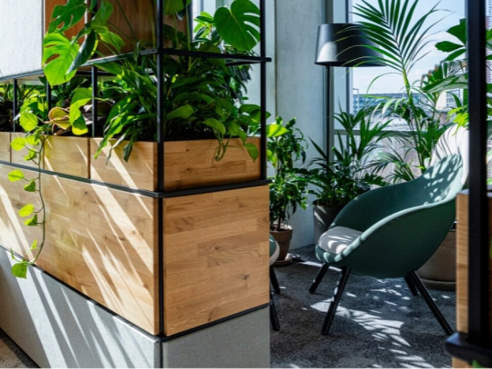 biofilia w przestrzeni biurowej