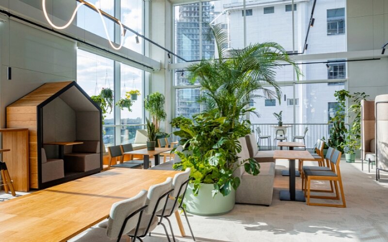 biofilia w przestrzeni biurowej