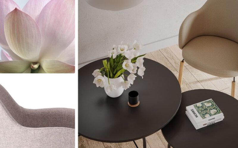 biofilia w przestrzeni biurowej