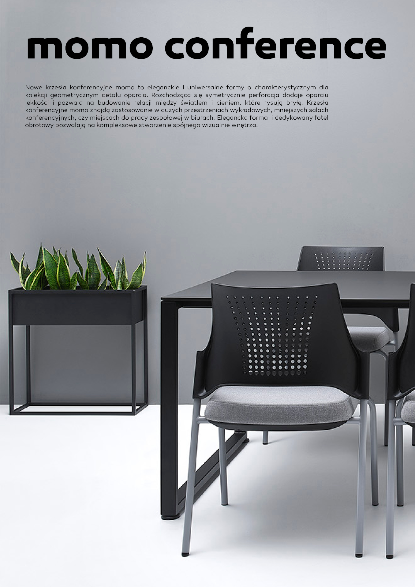 momo-catalog-12.jpg