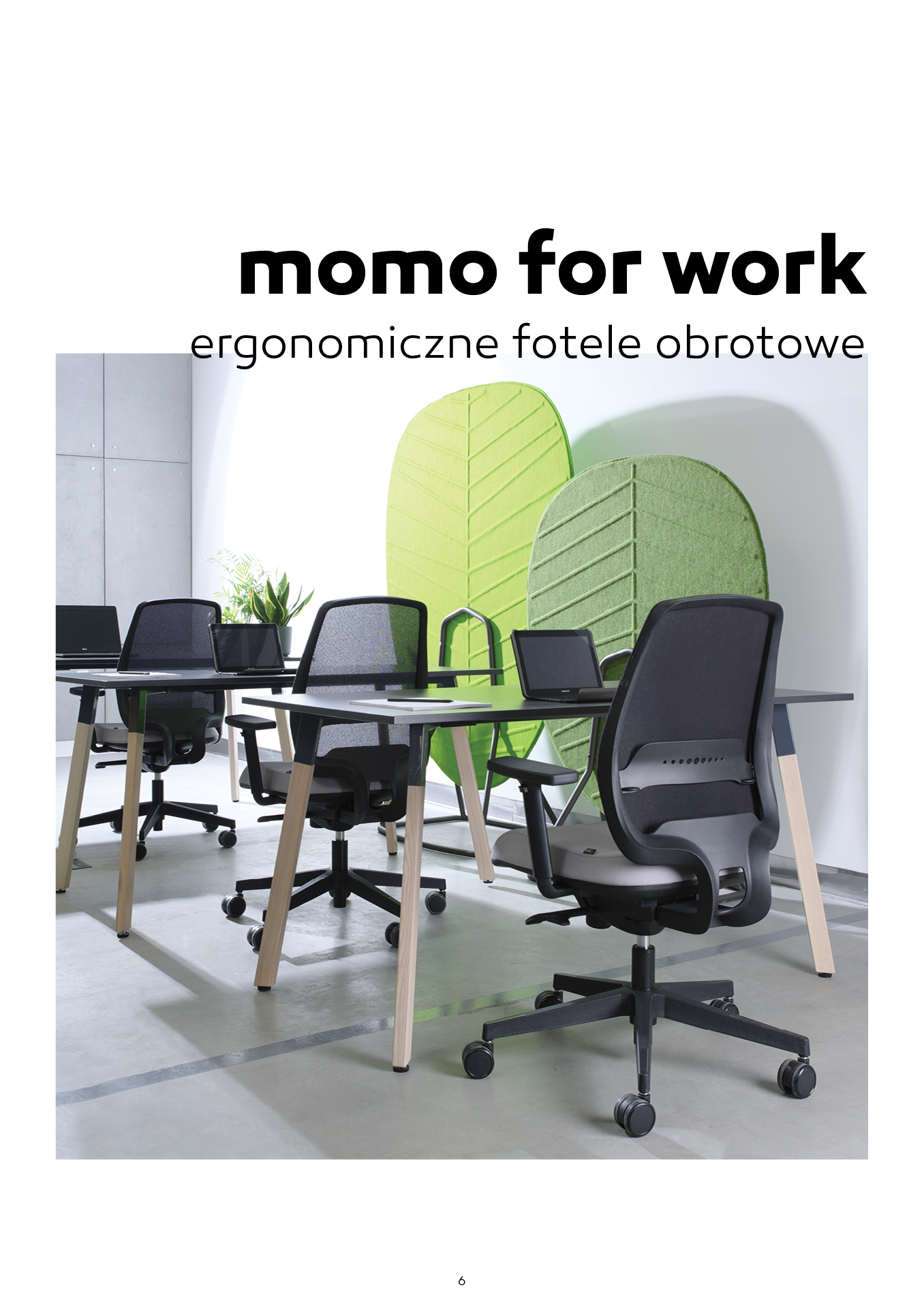 momo-catalog-6.jpg